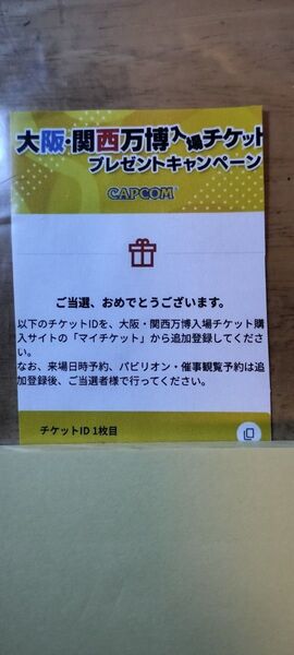 大阪万博チケット 大人一日券 2枚