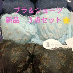 ① ブラジャー ブラ 下着 ショーツ 可愛い 花柄 刺繍 WACOAL ワコール トリンプ サルート 下着 ピンク ラメ 水色 青