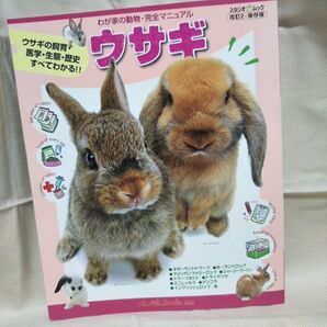 わが家の動物 ウサギ
