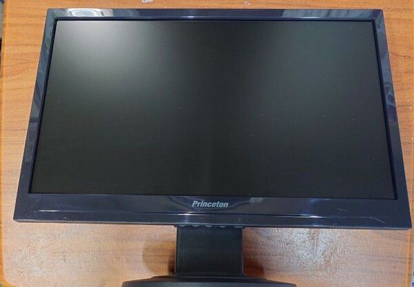 【中古品】Princeton モニター PTFBGF-19W