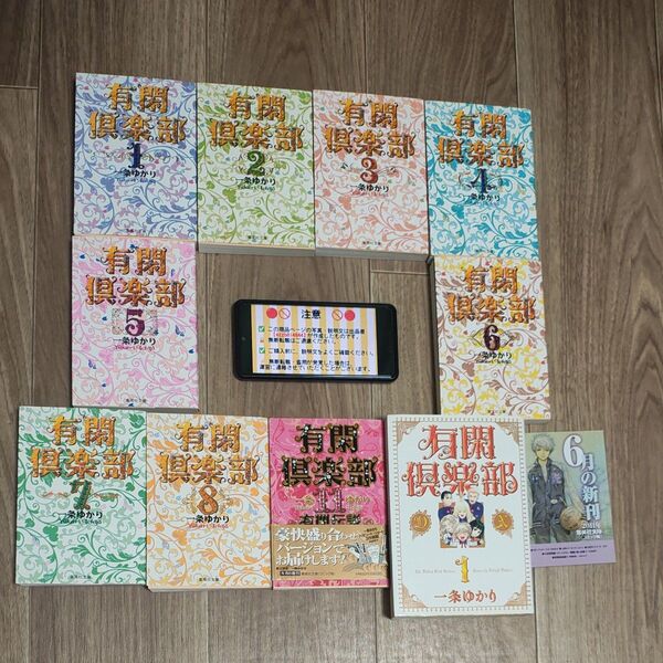 有閑倶楽部 一条ゆかり 集英社 集英社文庫 本 漫画 マンガ まんが 11冊セット 9・10巻目欠品 DX 1巻 2巻目以降欠品
