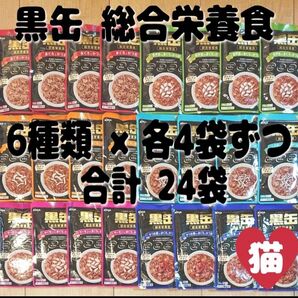 黒缶 パウチ まぐろとかつお ささみ入り サーモン入り 舌平目入り しらす入り かつお節入り 70g 24袋 まとめ売り