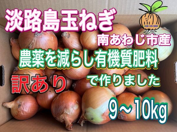 【10】淡路島玉ねぎ 南あわじ市産 訳あり 9〜10kg
