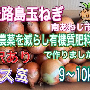 【ス10】淡路島玉ねぎ 南あわじ市産 訳あり 9〜10kg