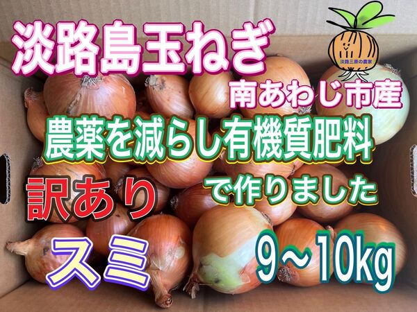 【ス10】淡路島玉ねぎ 南あわじ市産 訳あり 9〜10kg
