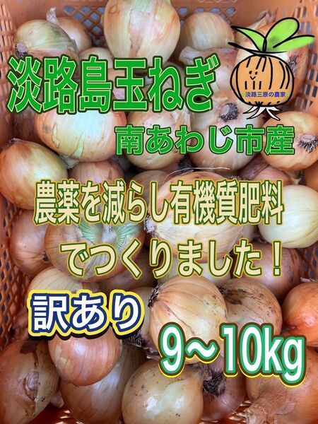 【10】淡路島玉ねぎ 南あわじ市産 訳あり 9〜10kg
