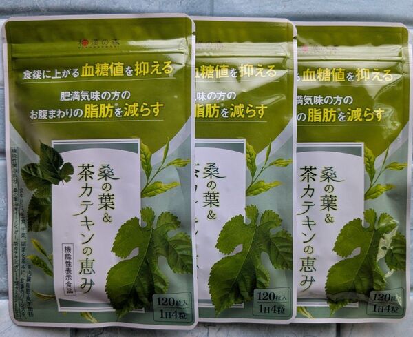 和漢の森 桑の葉&茶カテキンの恵み