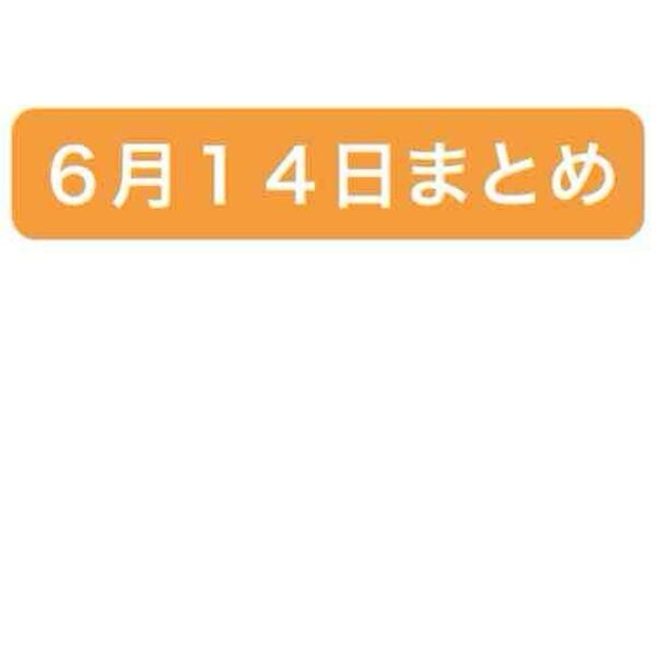 6月14日入荷商品②