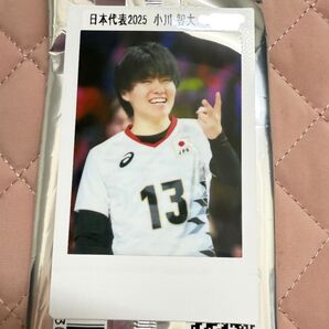 バレーボール男子日本代表 2025 トレーディングカード チェキ 小川智大