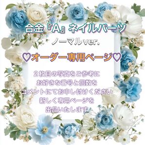 合金 A パーツ ノーマルver.(5個)オーダー専用ページ ネイルパーツ デコパーツ