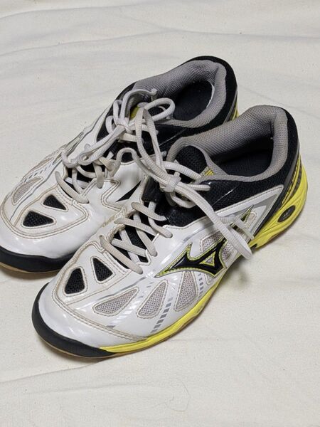 Mizuno バドミントンシューズ 25.5cm 体育館シューズ 上履き上靴 【中古】