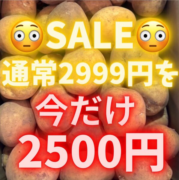 新じゃが 数量限定 10kg 箱込