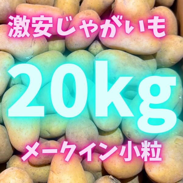 大人気品種の メークイン ジャガイモ 10