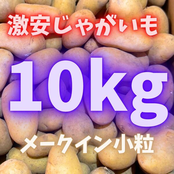 大人気品種の メークイン ジャガイモ 14