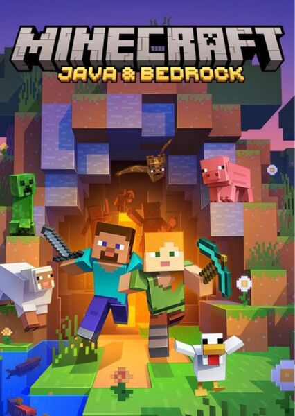 PC MINECRAFT マインクラフト JAVA & BEDROCK EDITION コード