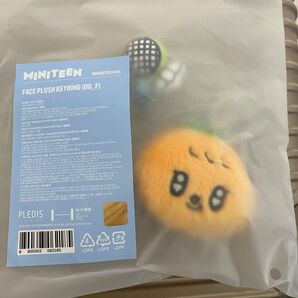 Seventeen セブチ 韓国 ポップアップ プラッシュキーリング スングァン