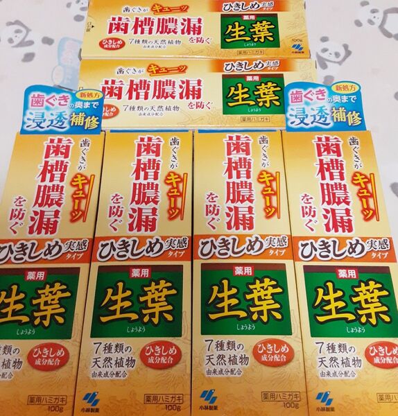 【生葉】歯槽膿漏を防ぐ歯みがき粉 100g 6本+おまけ付き☆彡