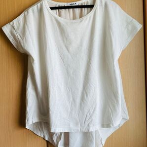 ◆ Tシャツ ANAP