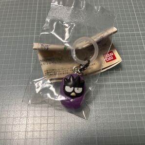 はぴだんぶい めじるしアクセサリー ソロキャンプ