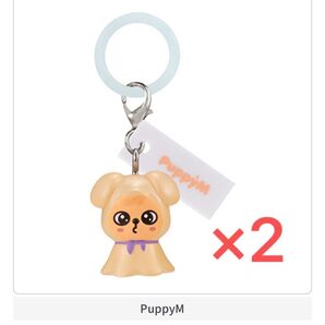 SKZOO めじるしアクセサリー ガチャ スキズ パピーム パピム 新品 straykids 2点