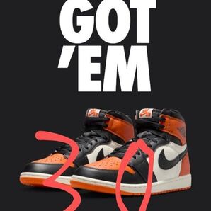 Nike Air Jordan 1 Retro High OG Shattered Backboard ジョーダン シャタバ