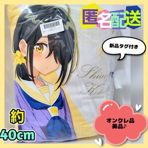 【オンクレ品♪】紫雲寺家の子供たちBIGクッション"紫雲寺ことの"(新品タグ付)