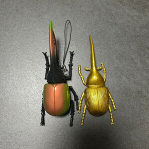 生物図鑑 リアルカブトクワガタ キーホルダー メタリックネプチューン フィギュア
