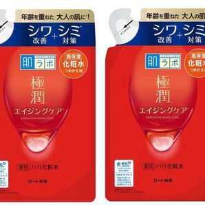 肌ラボ 極潤 薬用ハリ化粧水 つめかえ用 170ml×2個セット医薬部外品
