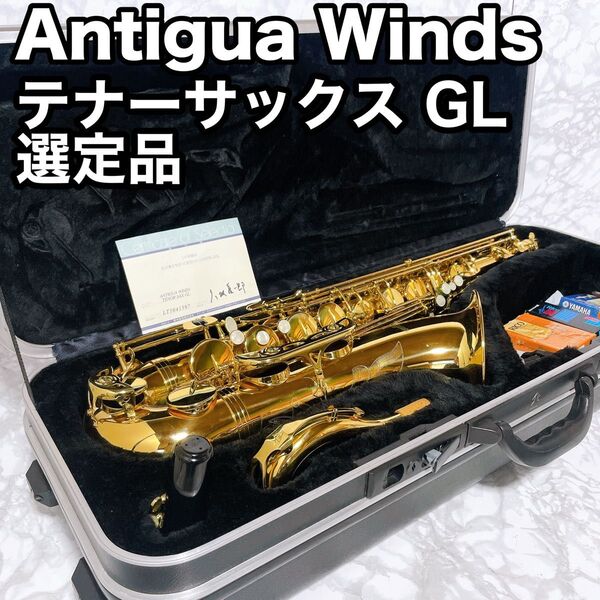 彦坂眞一郎氏 選定品 Antigua Winds テナーサックスgl アンティグア・ウィンズ