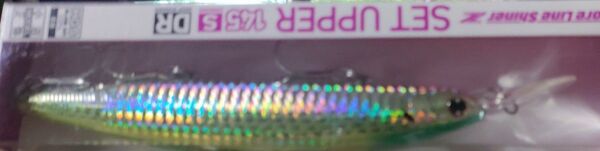 ショアラインシャイナーZ セットアッパー 145S-DR ダイワ コノシロフィーバーTK シーバス ロングビル