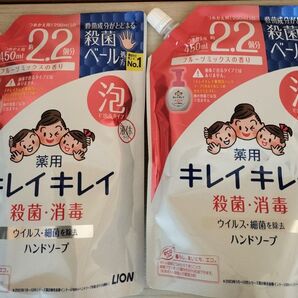 キレイキレイ 泡ハンドソープ フルーツミックスの香り つめかえ用 450ml 2個 LION