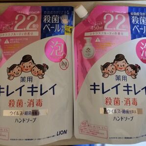 キレイキレイ 泡ハンドソープ つめかえ用 シトラスフルーティの香り 450ml 2個 LION