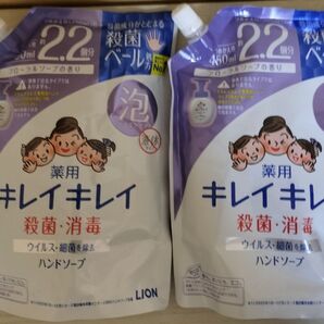 キレイキレイ 泡ハンドソープ つめかえ用 フローラルソープの香り 450ml 2個 LION