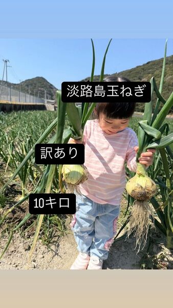 【訳あり】淡路島玉ねぎ10キロ