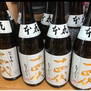 十四代 本丸 6本
