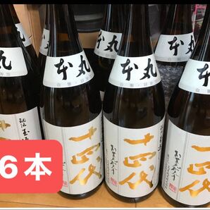 十四代 本丸 6本