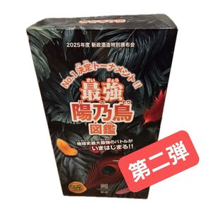 新政 頒布会2025 第二弾 6月