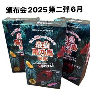 新政 頒布会2025第二弾 3セット