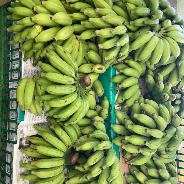 沖縄のバナナ ブラジルバナナ 島バナナと味がそっくり!バナナマニアが発送します!パッションフルーツ10玉のおまけつき!