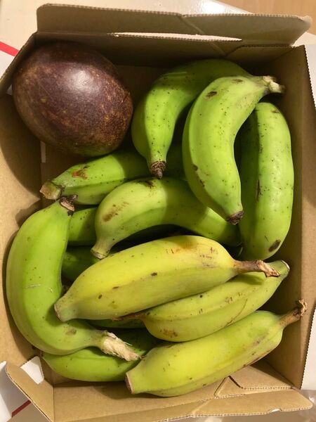 沖縄のバナナ ブラジルバナナ 島バナナと味がそっくり 2キロ パッションフルーツオマケ付き バナナマニアがお届けする!