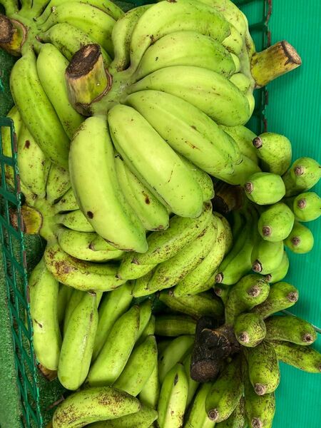沖縄のバナナ 5キロ 黄輝バナナ 島バナナと味そっくり!! オマケ付き!! 沖縄産
