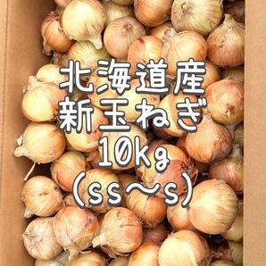 小さい玉ねぎ 10kg 北海道産 新玉ねぎ 2025