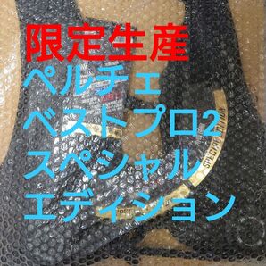 ウィンドコアアイス×ヒーターペルチェベストプロ2 スペシャルエディション ワークマン
