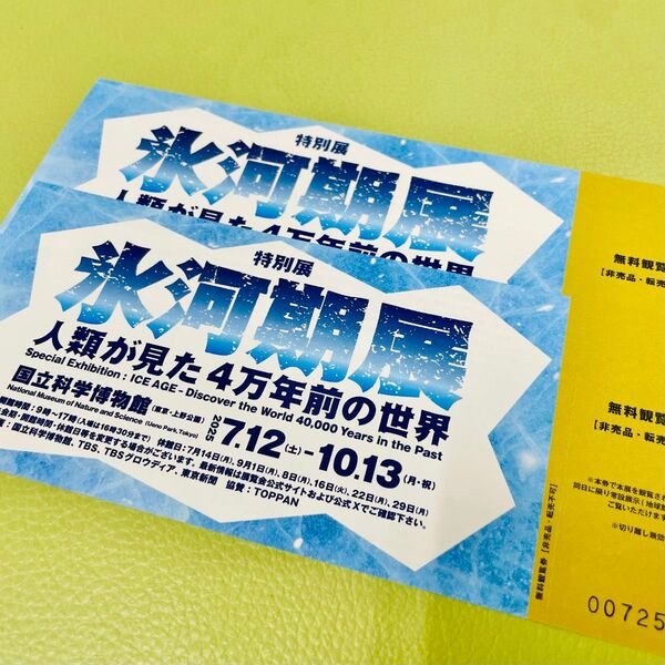 国立科学博物館 氷河期展 特別展チケット2枚