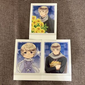 セット ぱしゃこれ ブロマイド ロシア ヘタリア 3枚セット カード チェキ風 チェキ ブロマイド チェキ風カード フラワー 花