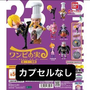 ワンピの実
