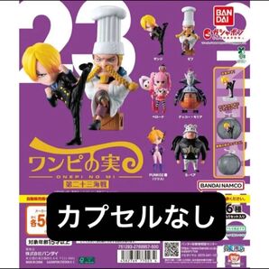 ワンピの実