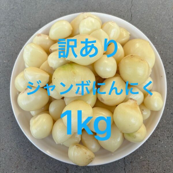訳あり むき ジャンボニンニク 1kg 岩手県産