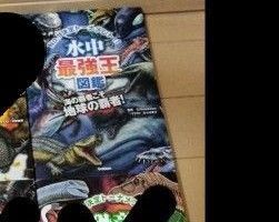 水中最強王図鑑