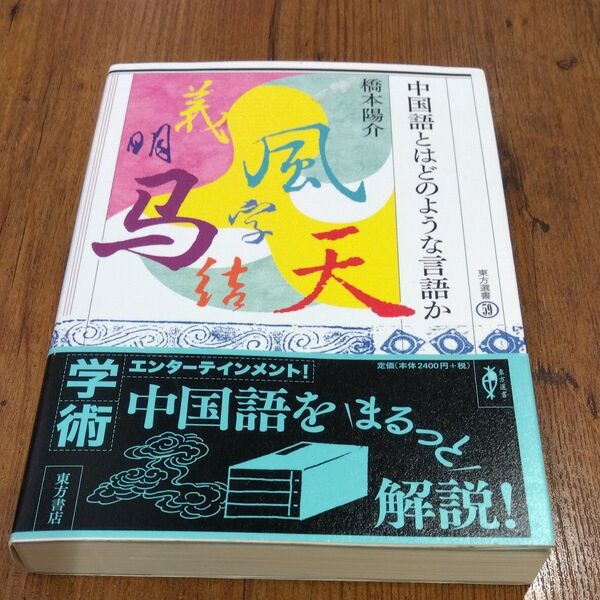 ★永久値引き不可【即日発送】中国語とはどのような言語か (東方選書 59) 橋本陽介/著